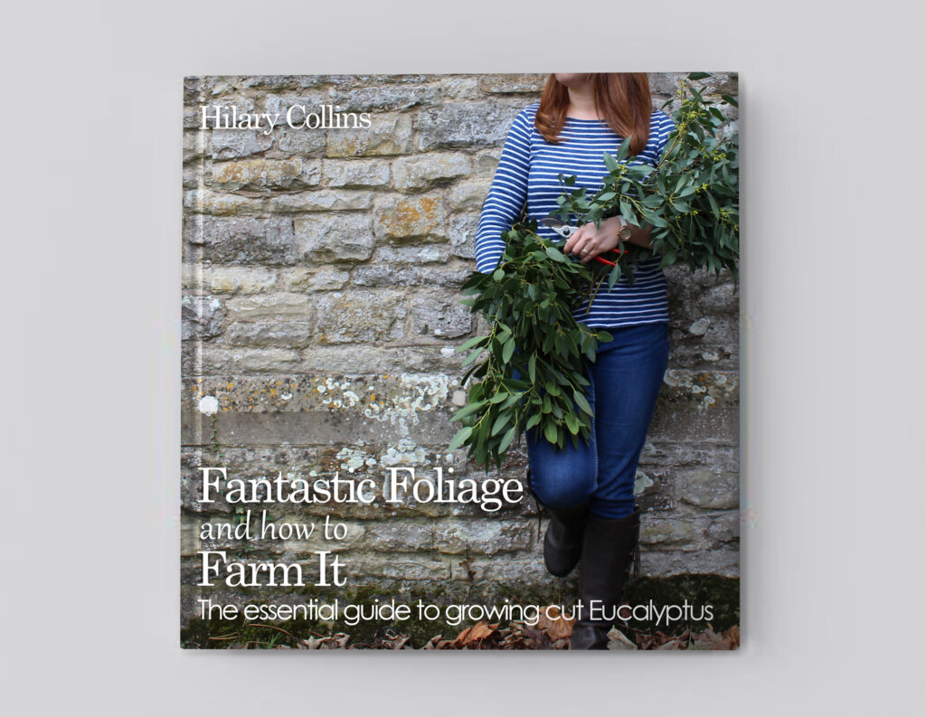 Cut Foliage Book: Fantastic Foliage and How to Farm It