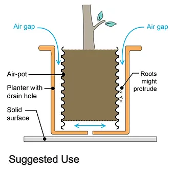 Air-Pot Kits - Hardy Eucalyptus