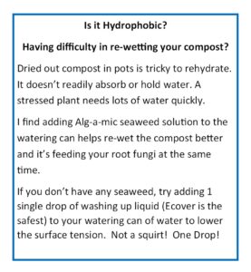 Hydrophobic Compost Notes 