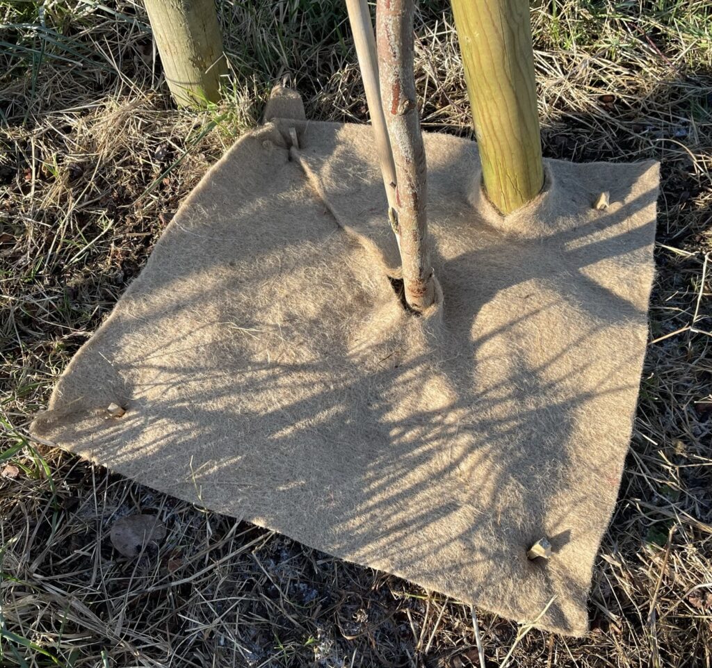 Eco-Mulch Mat