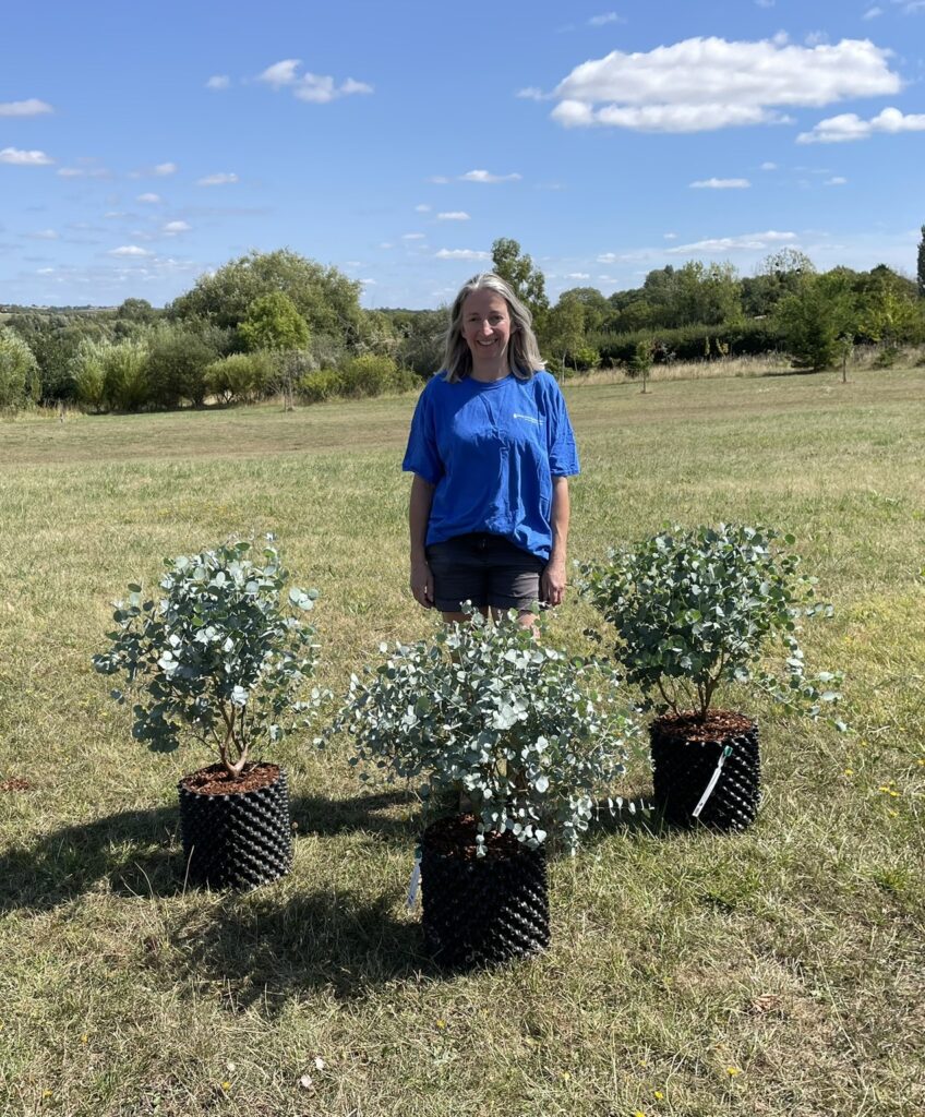archeri 12 litre 30-60cm bush